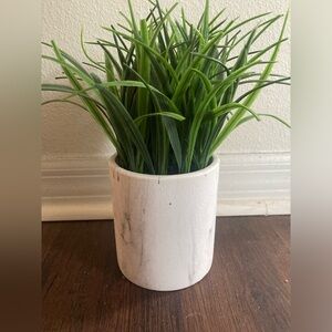 Artificial grass plant